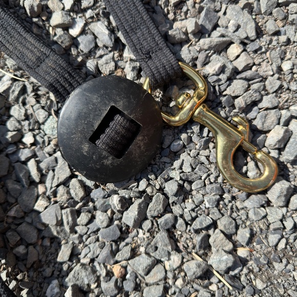 Lunge line and and whip - Picture 3 of 5